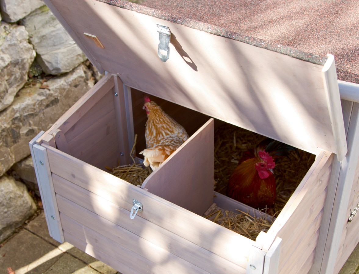 Údržba a čištění kurníku EMMA