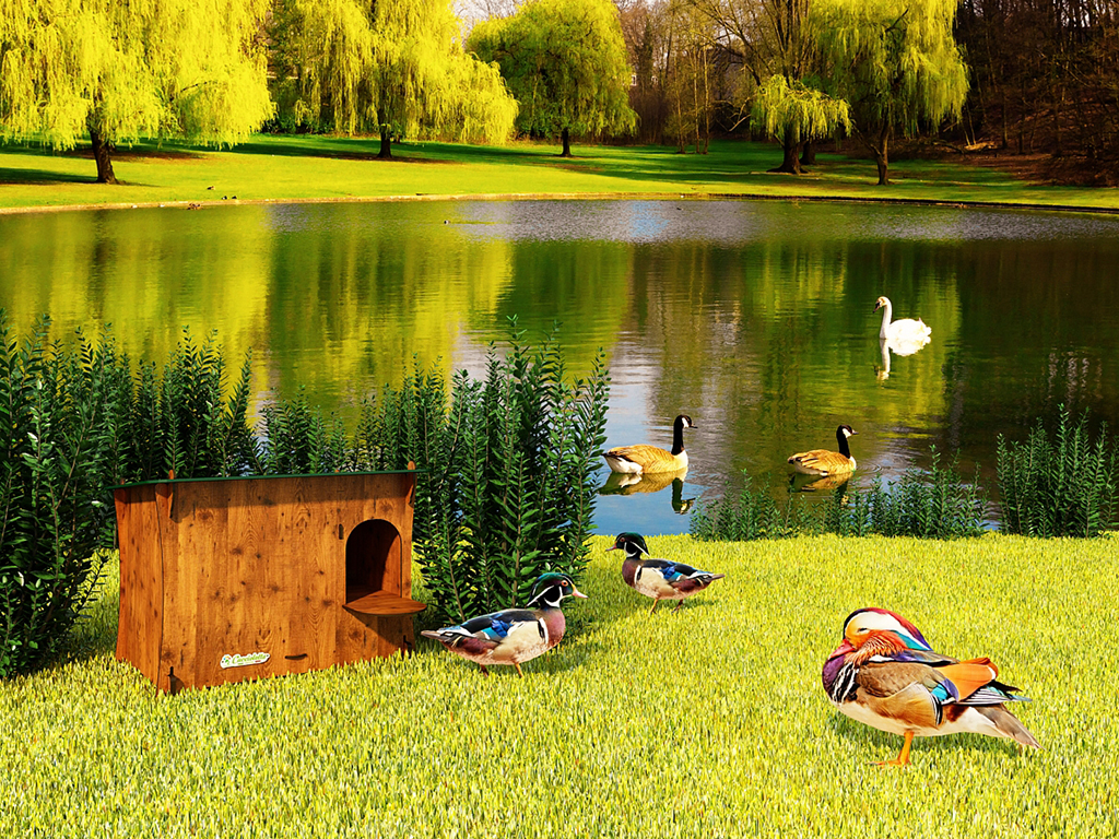 Kachník DUCKY M - materiál HPL