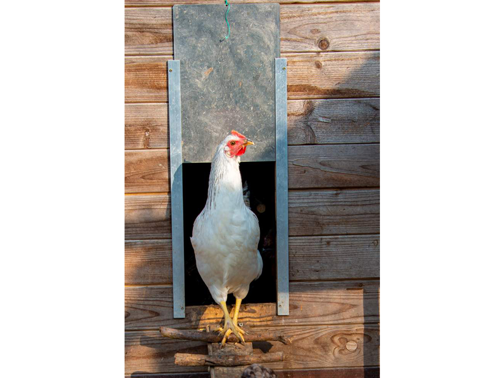 Rozměry automatických dvířek JOSTechnik HK-Bat 23x34 D