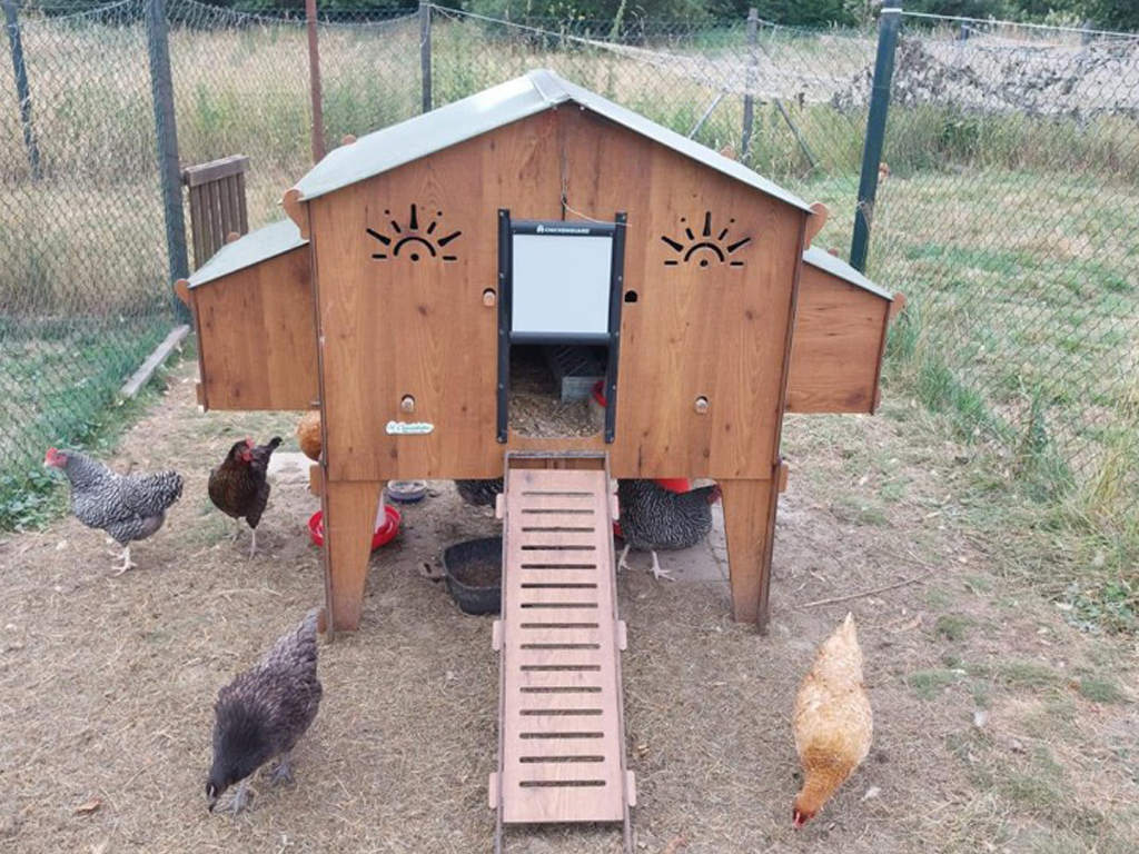 Kurník Polly Duplex 4XL – celkový pohled