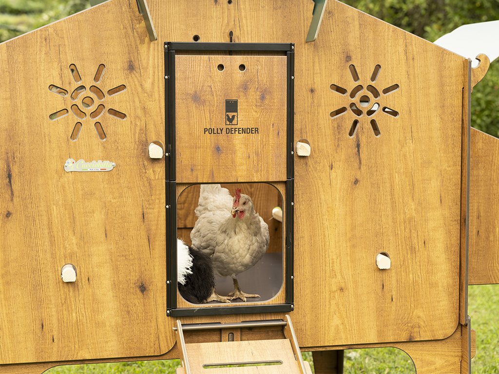 Údržba a čištění kurníku Polly Duplex 4XL