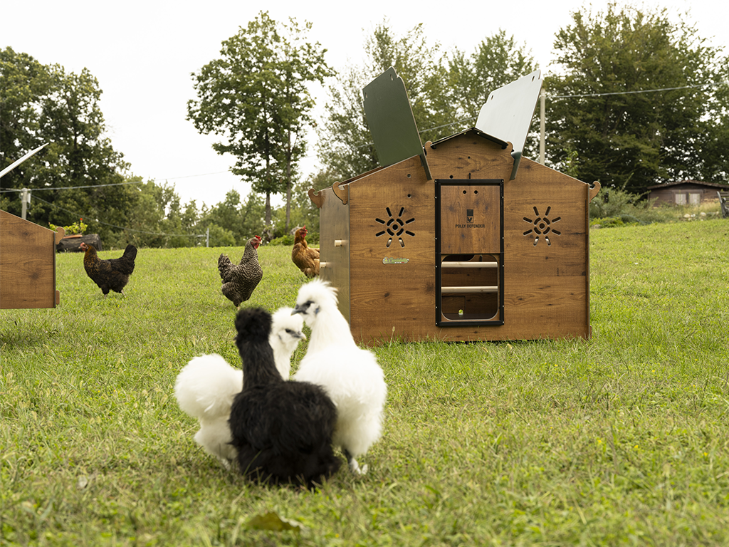 Kurník pro slepice POLLY CHALET 2XL - celkový pohled