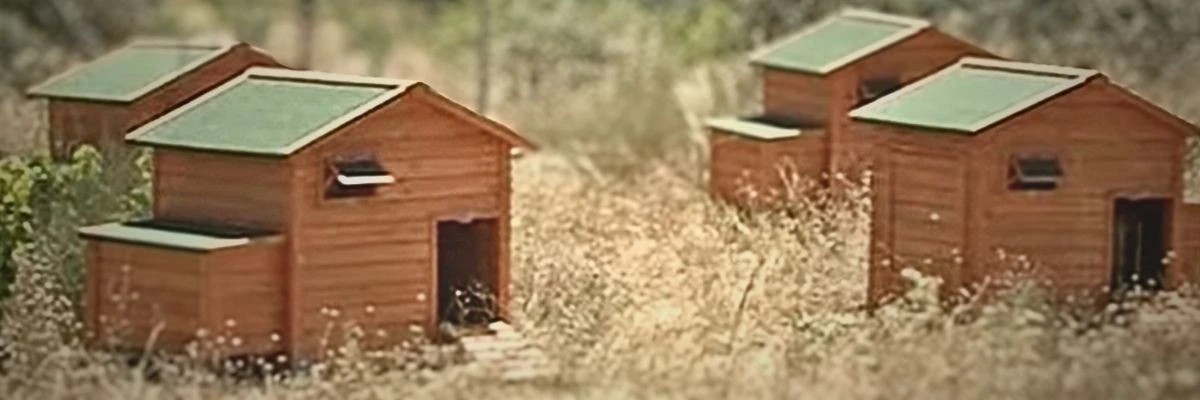 Kurník pro slepice GAUN BERLIN 10215 - celkový pohled