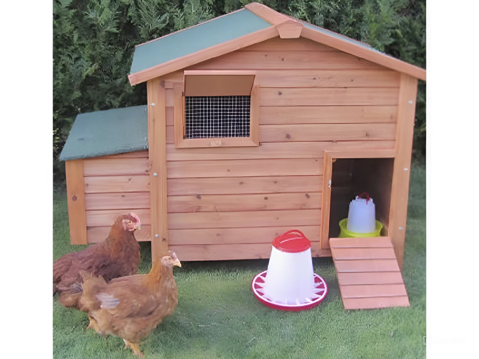 Detail kurníku GAUN BERLIN 10215