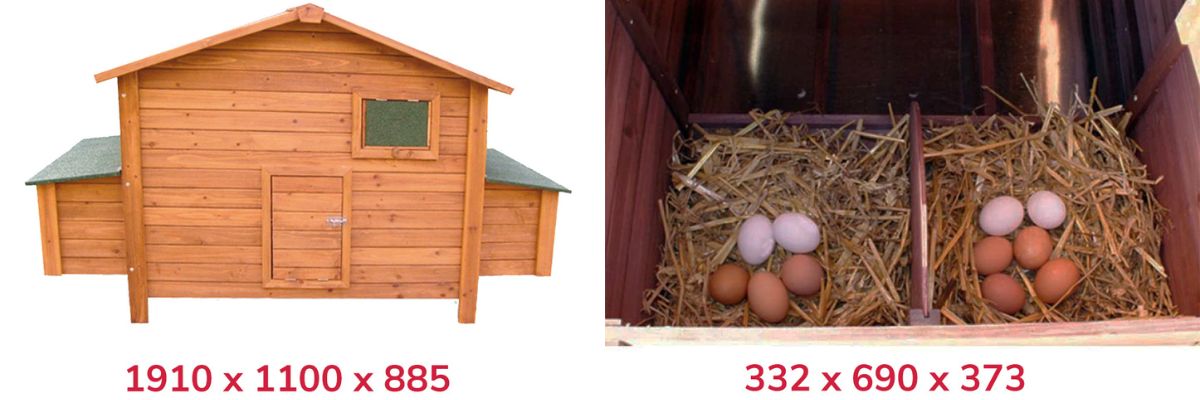 Vybavení kurníku GAUN BERLIN MAXI