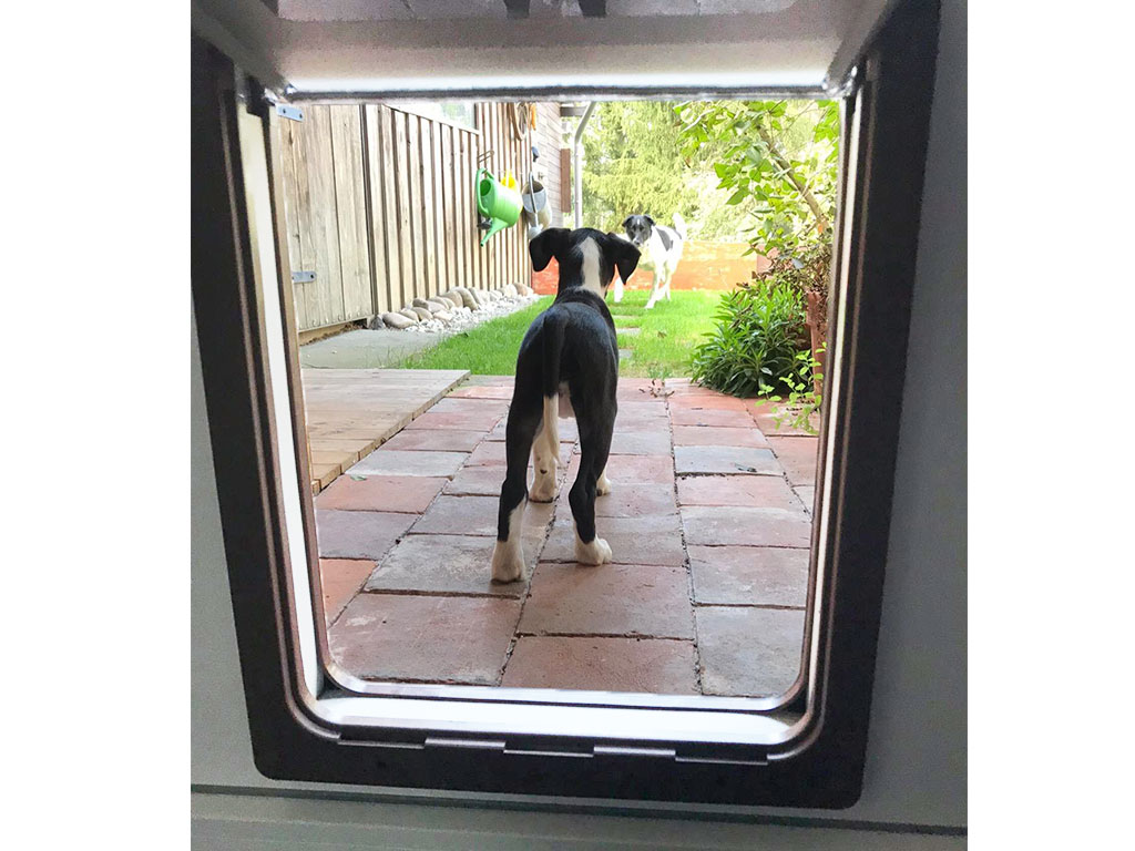 Dog Mate hnědá – zamykací systém