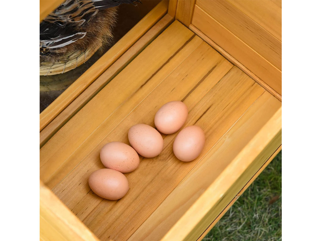 Kurník pro slepice PAWHUT D51-191 - celkový pohled