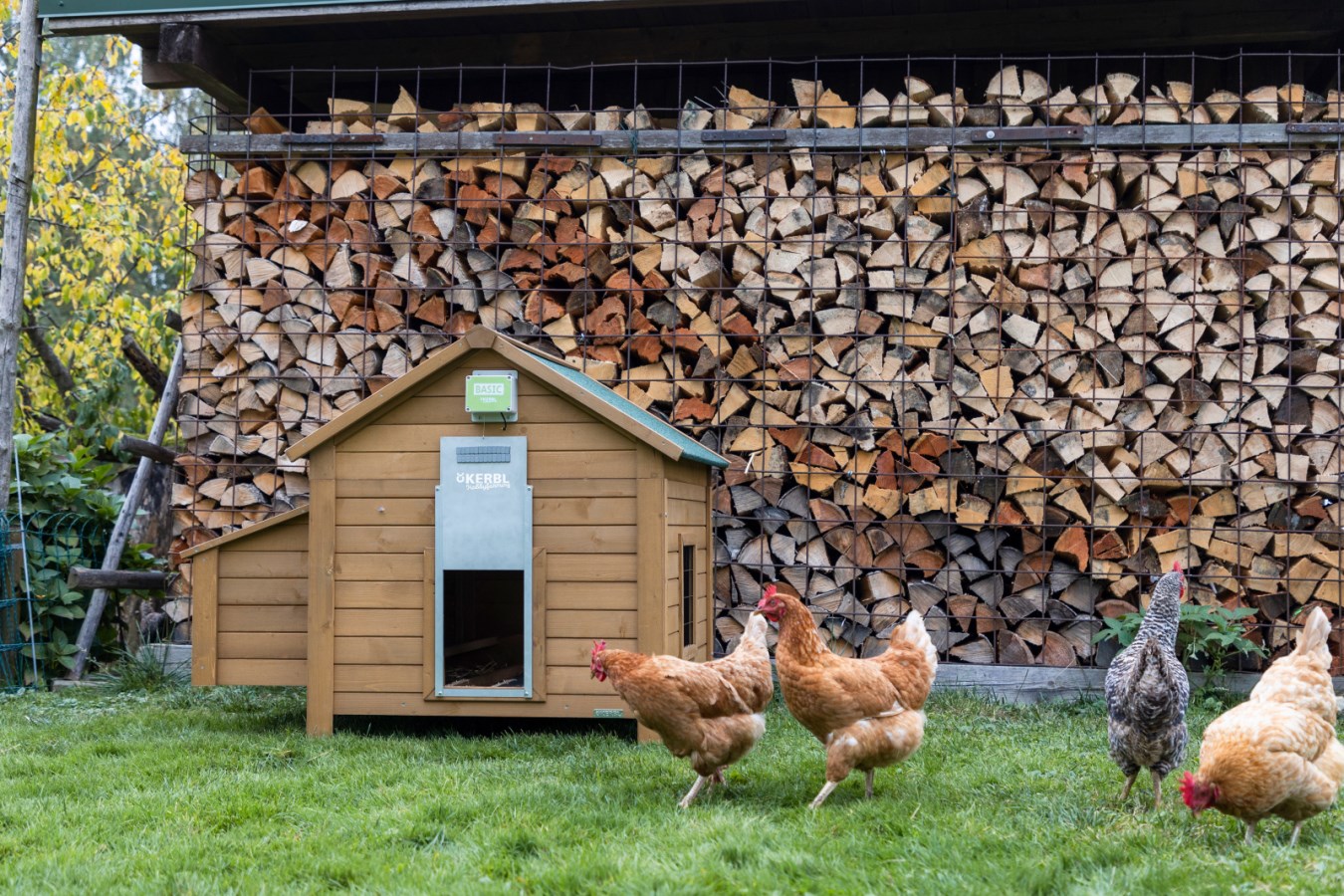 Kerbl Basic – detail senzoru