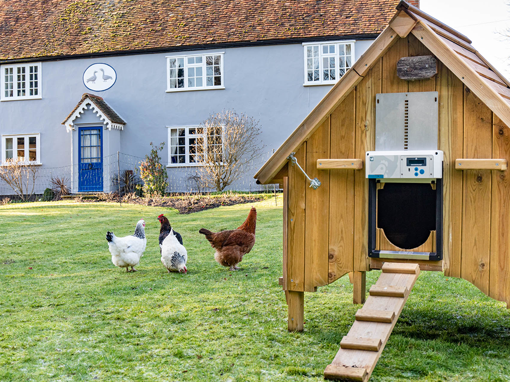 ChickenGuard ALL IN ONE – detail motoru